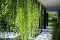 inspirasi-tanaman-rambat-untuk-balkon_40e793c68.jpg